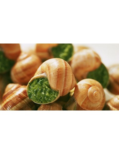 Escargots de Bourgogne très gros Feyel