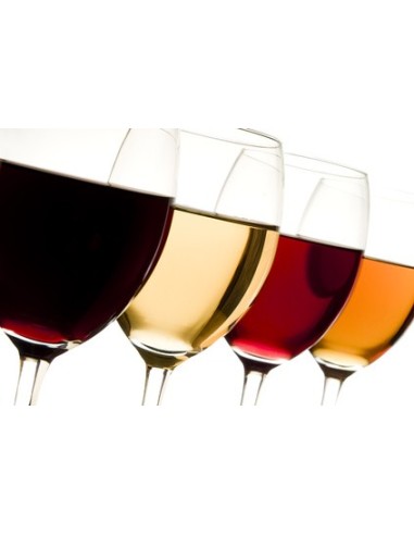 Blanquette de Veau et ses Tagliatelles - Rayon Traiteur