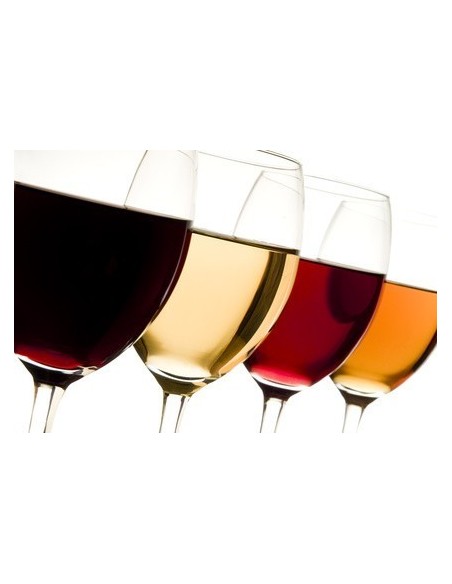 Populus Alba Blanc - cuvée Confidence - 2020 Populus Alba Blanc - cuvée Confidence - 2020