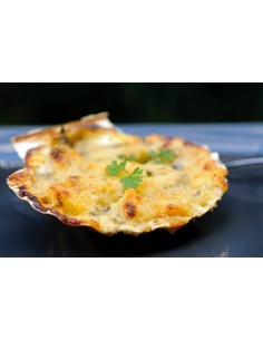 Coquille de Noix de St Jacques à la bretonne - Rayon Traditionel