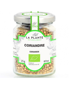 Coriandre - 40 gr - La plante naturellement