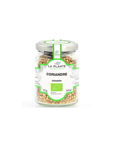 Coriandre - 40 gr - La plante naturellement