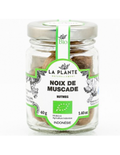 Noix de muscade en poudre bio - 30 gr - La plante...