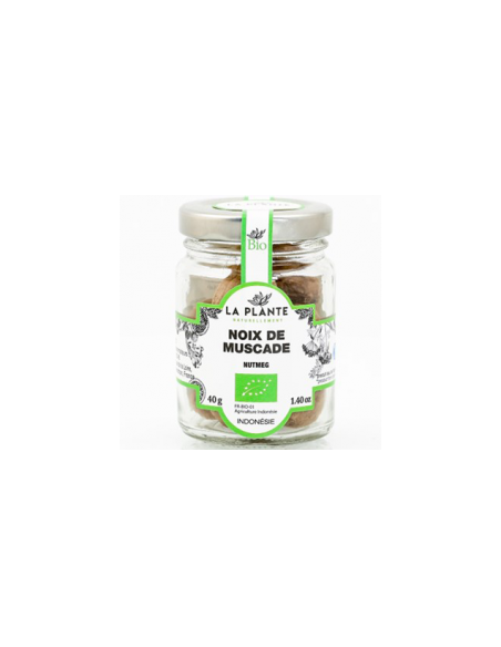 Noix de muscade en poudre bio - 30 gr - La plante naturellement
