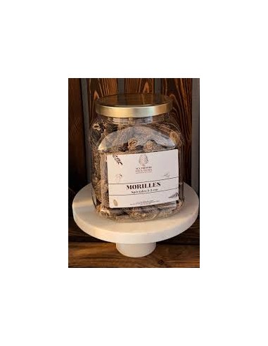 Morilles 37CL BF